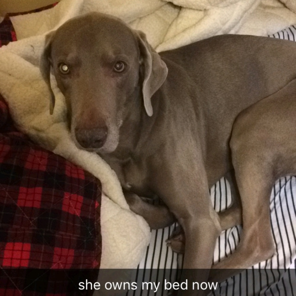 Meet your Posher, Connor